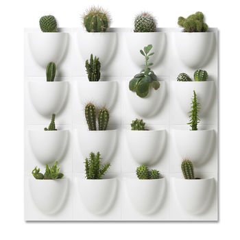Mini Wall Flower Pots Four Pack, 5 of 6