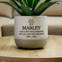Personalised Pet Memorial Plant Pot For Sympathy, thumbnail 2 of 4