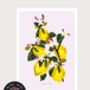 Limon Botanical Eco Print One Print = One Tree, thumbnail 2 of 6
