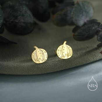 Sterling Silver Pumpkin Squash Stud Earrings, 6 of 12
