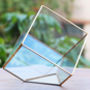 Glass Cube Succulent Terrarium Kit, thumbnail 4 of 7