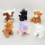 Mini Texas Longhorn Highland Cow Soft Toy, Pop Up Gift Box, thumbnail 11 of 11