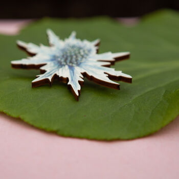 Wildflower Sea Holly Eco Wooden Pin Brooch, 5 of 9