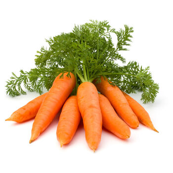 Carrot 'Chantenay' Three X Plug Plant Pack, 6 of 6