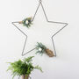 Pre Lit Star With Hand Tied Eucalyptus Bunches, thumbnail 1 of 5
