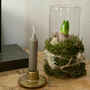 Fresh Hyacinth And Candle Gift Set, thumbnail 2 of 6