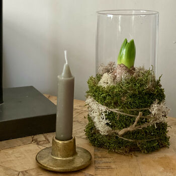 Fresh Hyacinth And Candle Gift Set, 2 of 6
