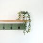 Green Coat Rack With Shelf, Dark Wax Shelf 10cm Deep, Shelf With Hooks, Black, Silver, Bronze, Copper, Chrome, Brass Hooks, Painted In F And B No.34, thumbnail 5 of 8