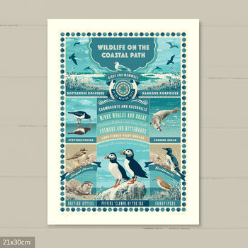 ‘British Coastal Wildlife Art Print’ Coastal Gift, 6 of 7