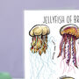 Jellyfish Of Britain Greeting Card, thumbnail 2 of 8