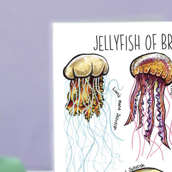 Jellyfish Of Britain Greeting Card, 2 of 8