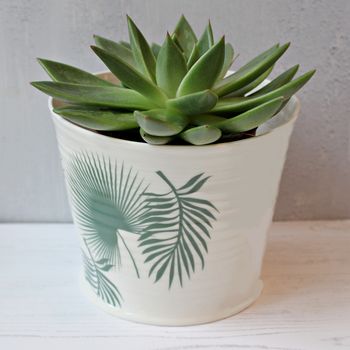 Hand Thrown Porcelain Palm Design Indoor Plant Pot, 2 of 6