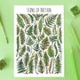 Ferns Of Britain Watercolour Postcard, thumbnail 1 of 9
