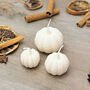 Natural White Pumpkin Candle Set Of Three Autumn Decor, thumbnail 7 of 10