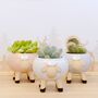 Glazed Sheep Planter With Choice Of Plant, thumbnail 2 of 6