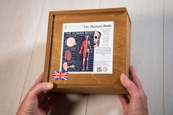 The Human Body Wooden Jigsaw Puzzle, 8 of 8
