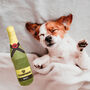 Champagne, Vodka, Bourbon And Tequila Bottle Soft Dog Toy, thumbnail 7 of 8