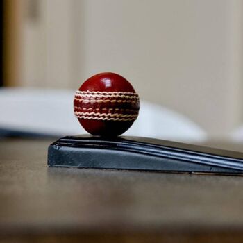 Cricket Ball Door Wedge, 11 of 12