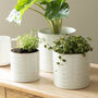 White Speckled Ceramic Plant Pot, thumbnail 1 of 4
