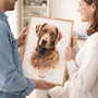Personalised Watercolour Pet Illustration Portrait, thumbnail 2 of 12