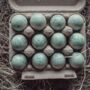 Box Of 12 Quail Egg's Light Green, thumbnail 5 of 5