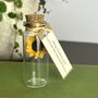 Tiny Sunflower In A Bottle With Personalised Message, thumbnail 8 of 12
