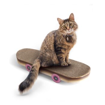 Cat Scratch Skateboard, 2 of 4