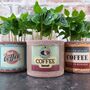Retro Coffee Houseplant Pot Gift Surprise Plant, thumbnail 1 of 10