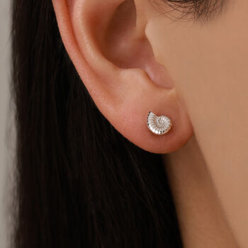 Sterling Silver Ammonite Shell Stud Earrings, 7 of 12
