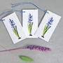 Gift Tags With Hyacinth Illustration, thumbnail 4 of 5