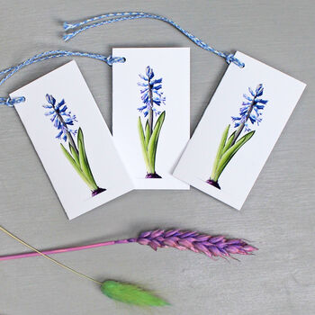 Gift Tags With Hyacinth Illustration, 4 of 5