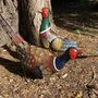 Pair Of Pheasants, thumbnail 6 of 8