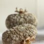 Roselyn Gold Floral Clutch, thumbnail 4 of 6