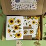 Sunflower Stationery Gift Set, thumbnail 4 of 6