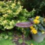 Freestanding Cast Iron Bird Bath – Metal Garden Feature, thumbnail 10 of 10
