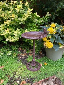 Freestanding Cast Iron Bird Bath – Metal Garden Feature, 10 of 10