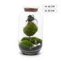 Diy Kokedama Terrarium Kit H: 42 Cm | 'Chamonix', thumbnail 3 of 12