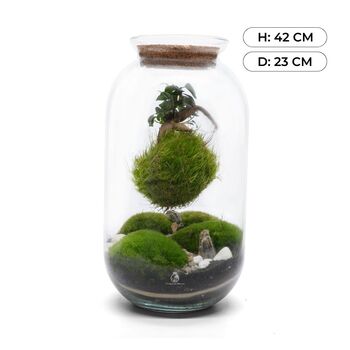 Diy Kokedama Terrarium Kit H: 42 Cm | 'Chamonix', 3 of 12