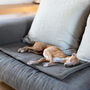 Luxury Double Fleece Pet Blanket, thumbnail 4 of 12