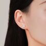 Sterling Silver Lion Stud Earrings, thumbnail 7 of 12