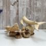 Hand Carved Wooden Whale Pair Sculpture Ornament, thumbnail 12 of 12