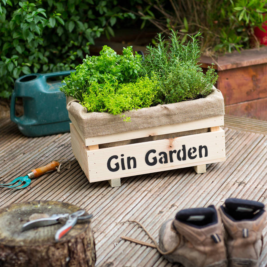 Grow Your Own Gin Garden With Large Planter By Plant And