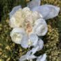 The Clara Bridal Bouquet, thumbnail 9 of 12