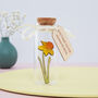 Miniature Daffodil Keepsake Bottle Father's Day Gift, thumbnail 1 of 3