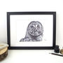 Great Grey Owl Pen And Ink Illustration Framed Print, thumbnail 1 of 3