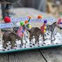 Set Of Four Personalised Party Animal Place Names, thumbnail 1 of 9