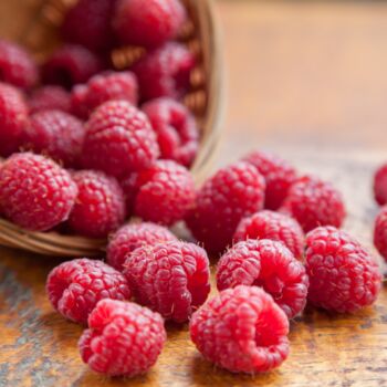 Raspberry 'Glen Clova' Two X Bare Rooted Plants, 2 of 6