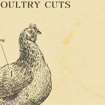 British Chicken Butcher Chart, 6 of 9