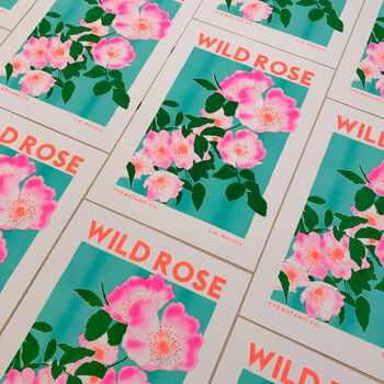 Wild Rose Floral Illustration Riso Print, 3 of 9