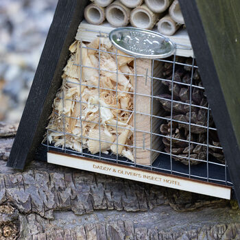 Father's Day Wildlife Insect Hotel, 6 of 6